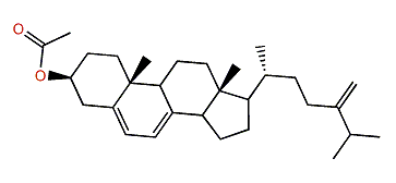 24-Methylcholesta-5,7,24(28)-trien-3b-yl acetate